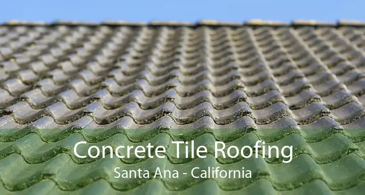 Concrete Tile Roofing Santa Ana - California