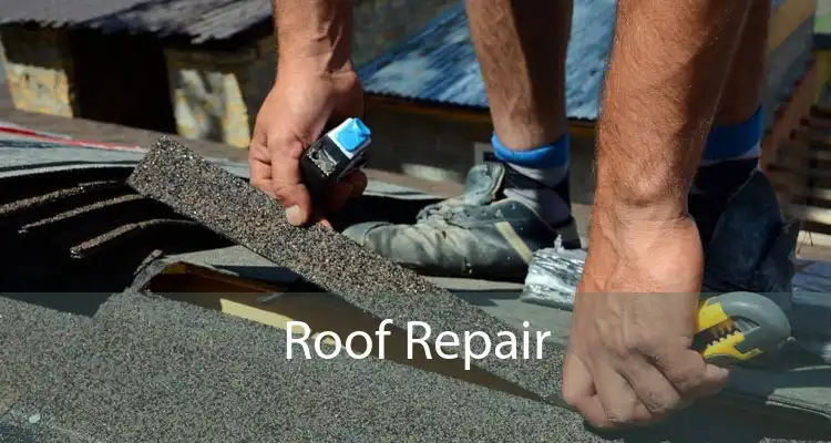 Roof Repair 